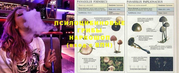 а пвп мука Белокуриха