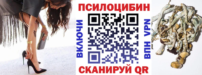Галлюциногенные грибы ЛСД Колпашево